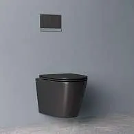Унитаз подвесной IDDIS Calipso безободковый черный матовый CALR3BMi25