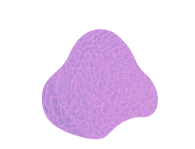 Угловая - Кассандра - Хромотерапия