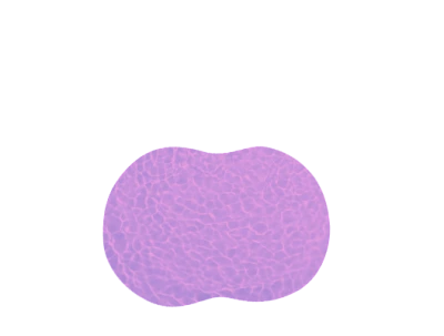 Угловая - Трапани - Хромотерапия